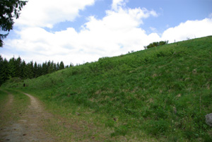 Quarry after re-naturalisation